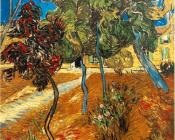 文森特威廉梵高 - 圣保罗医院花园中的树木